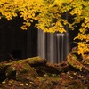 紅葉する水辺