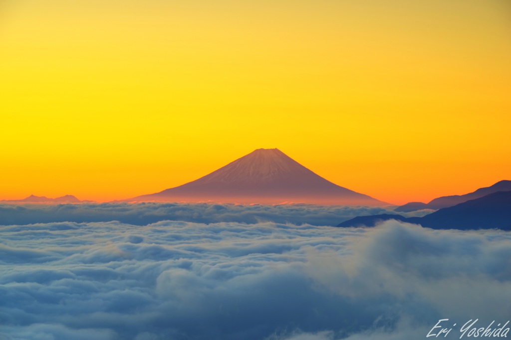 夜明けの富士と雲海