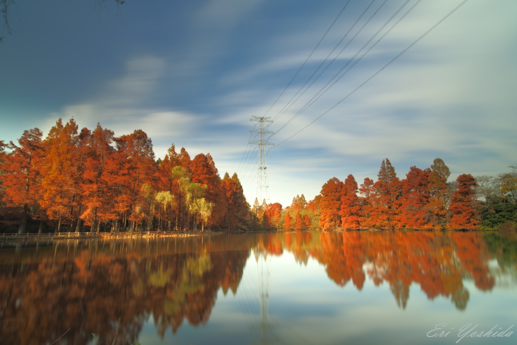 紅葉する水辺