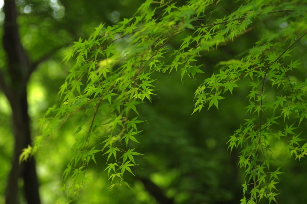そして､初夏へ