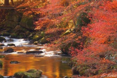 赤く燃える渓谷