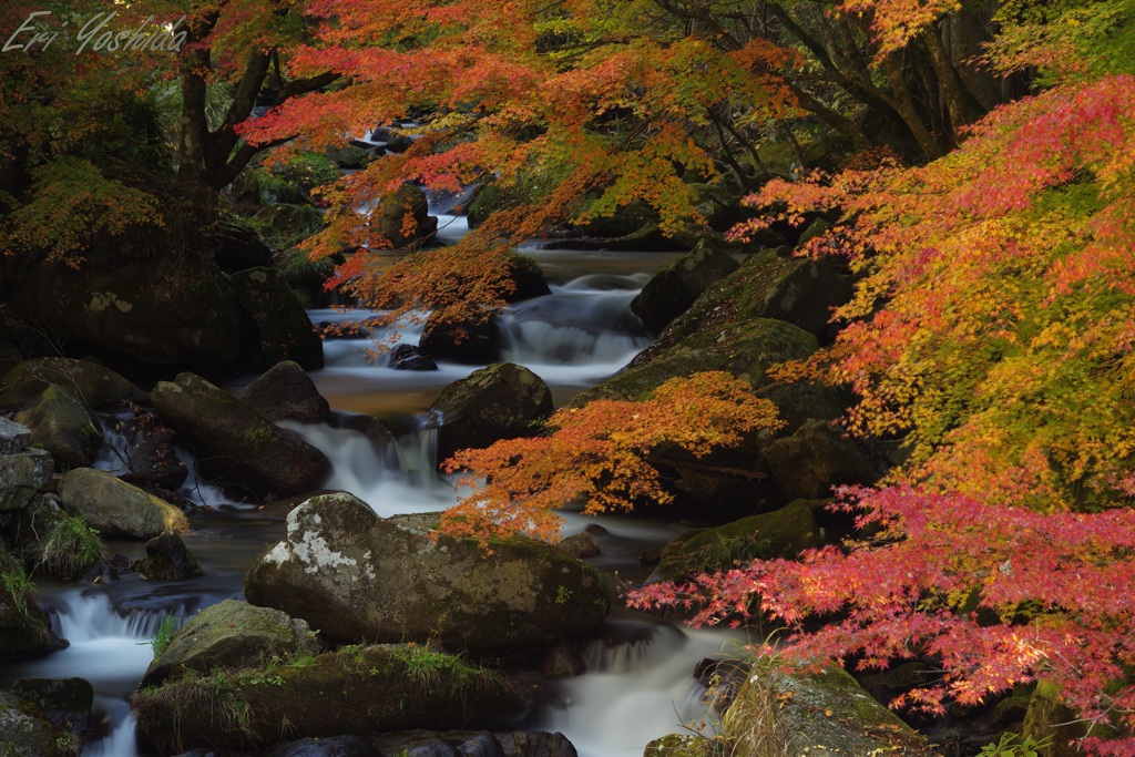 渓流の紅葉と流れ
