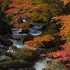 渓流の紅葉と流れ