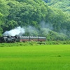 初夏の真岡鉄道