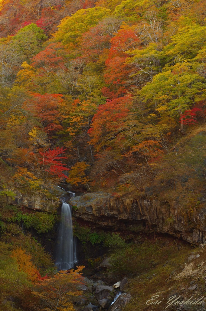 紅葉深まる早朝の滝