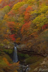紅葉深まる早朝の滝