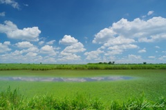 夏空の向こう