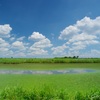 夏空の向こう