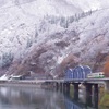 初雪・紅葉と雪 ②