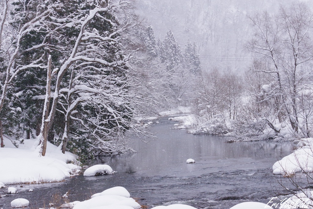 雪降る渓流