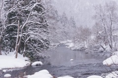 雪降る渓流