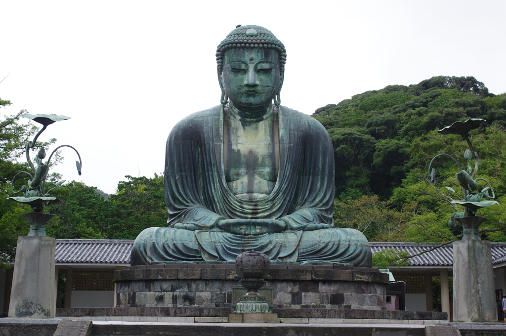 不謹慎なカラス