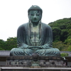 不謹慎なカラス