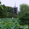 晩夏の東寺