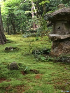 三千院のお地蔵さま。