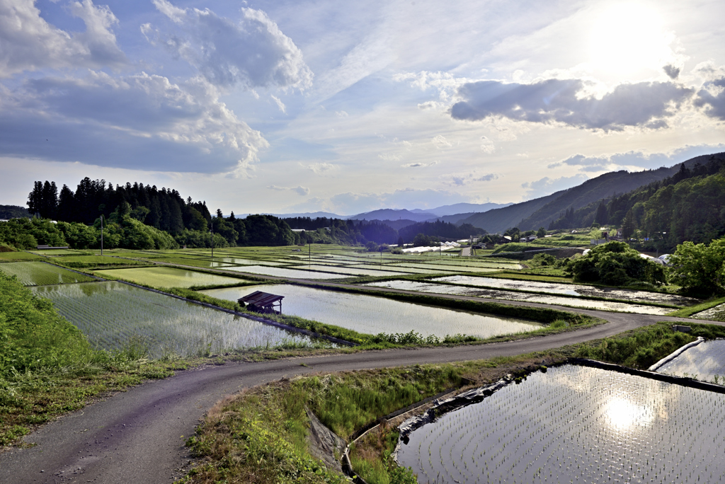 田植えの頃