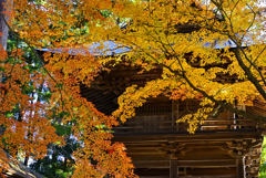 寺院の秋②