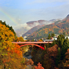 紅葉に掛かる橋