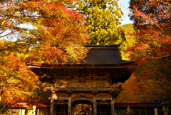 寺院の秋