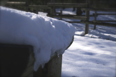 雪解け