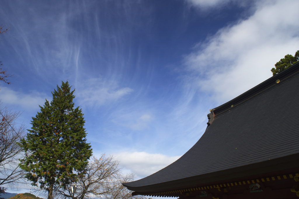 秋雲