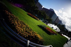 公園
