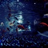 アクアリウムで