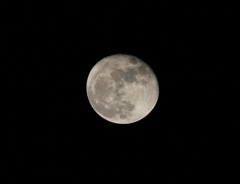 今夜はほぼ満月
