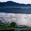 雲海と棚田