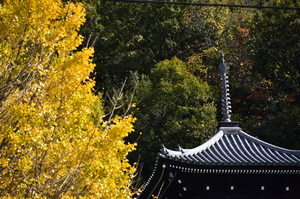 黄金のは塔