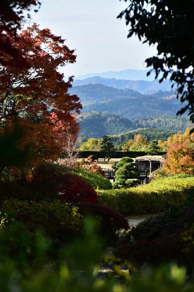 紅葉のトンエネル
