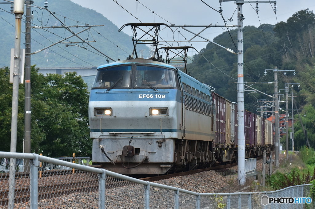 貨物列車