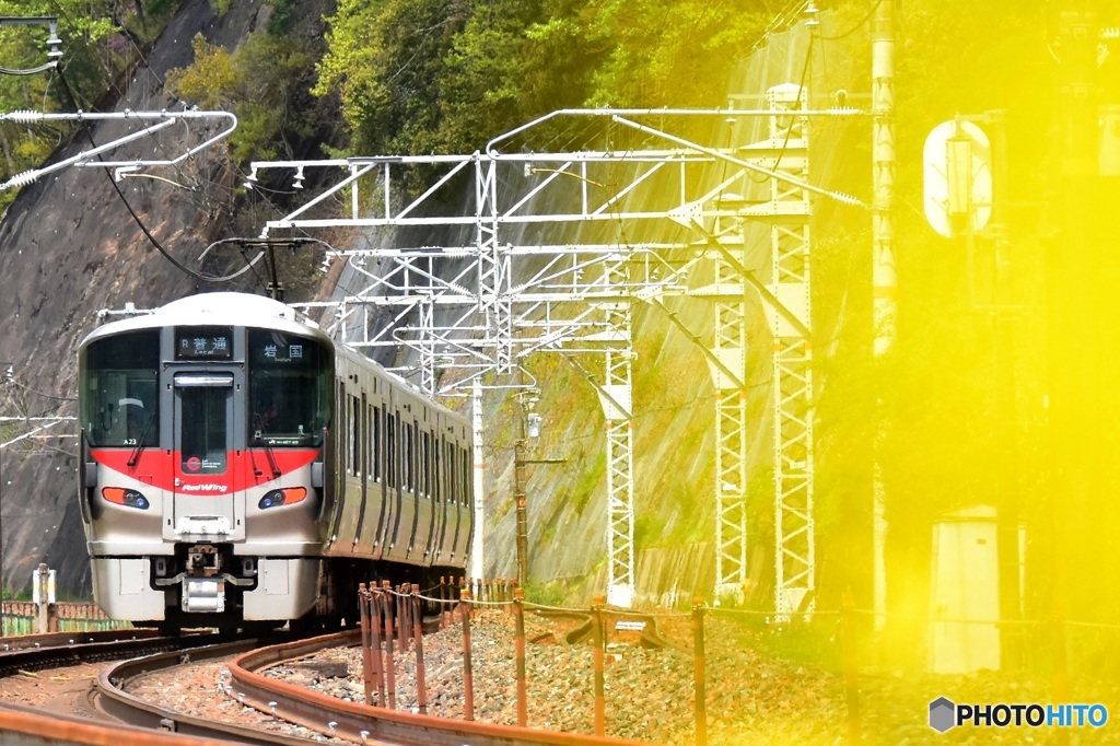 花と列車