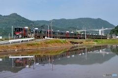 水田に映る列車