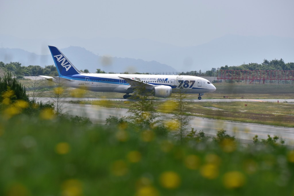 これから旅立ち