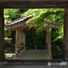新緑の仏通寺