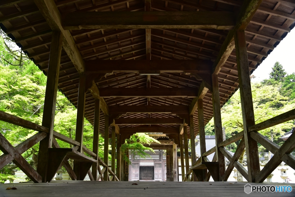 新緑の仏通寺
