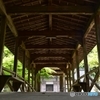 新緑の仏通寺