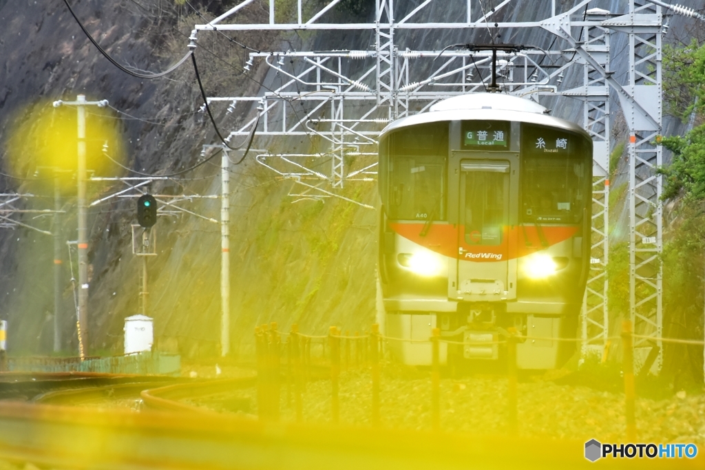 花と列車