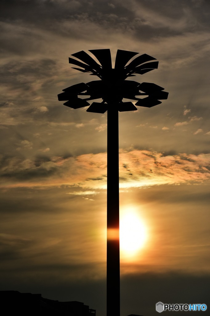 夕日