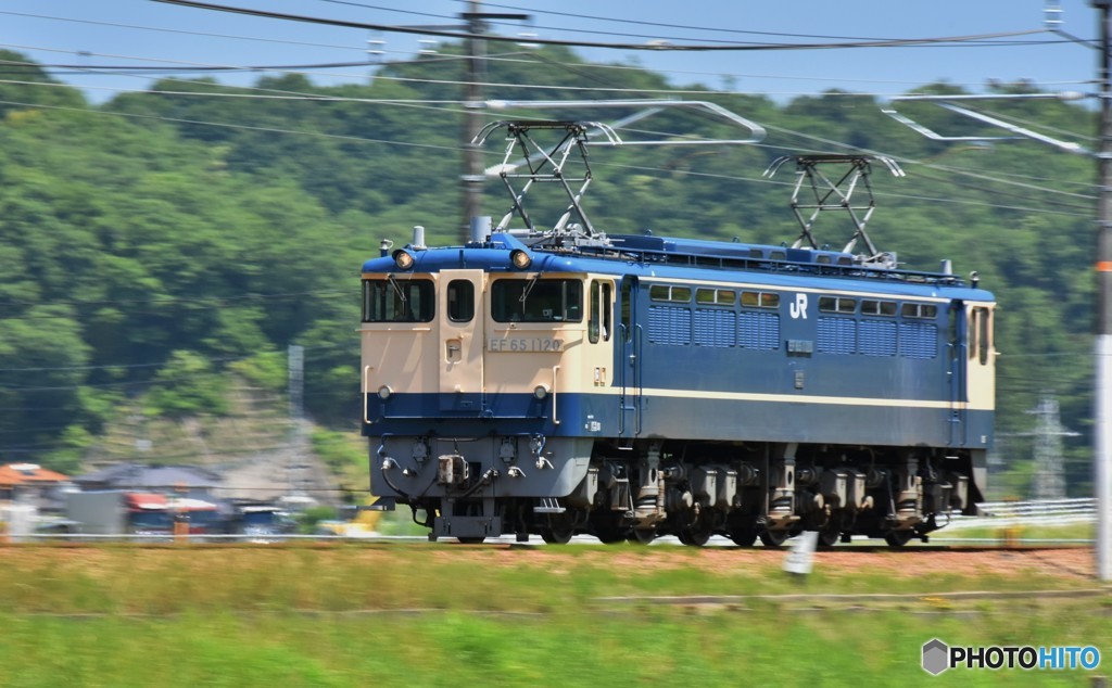 どこへ行く☆