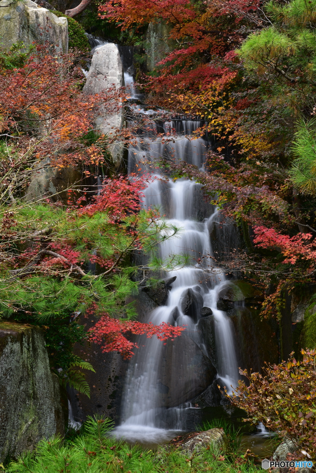 紅葉