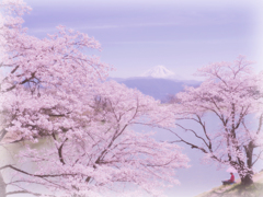 春爛漫