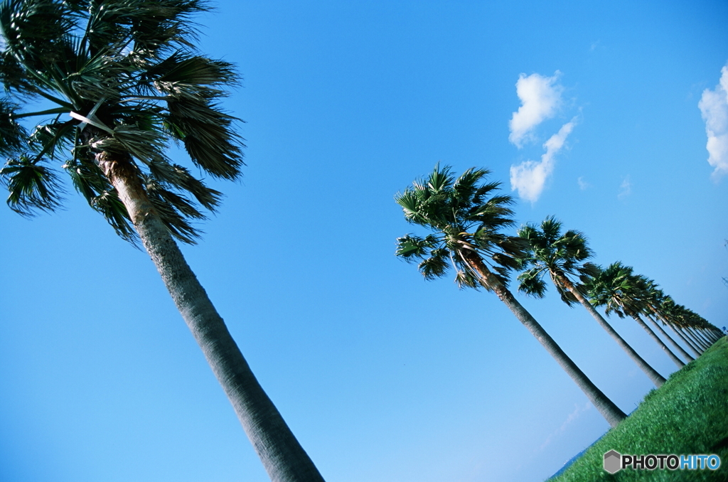 いよいよ夏がきます