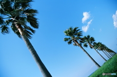 いよいよ夏がきます
