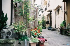 なんでもないけど