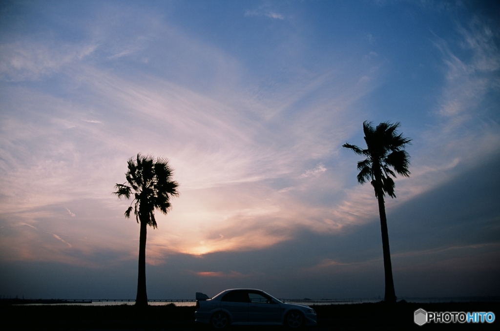 南国の夕涼み