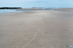 砂浜に一線