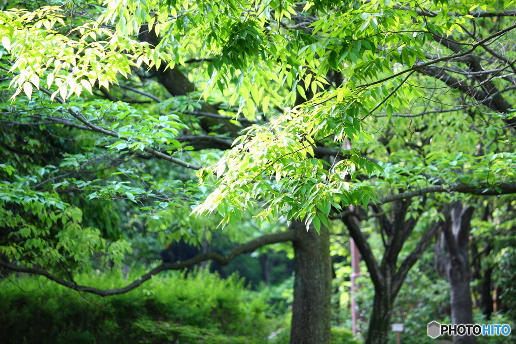 公園の一角で