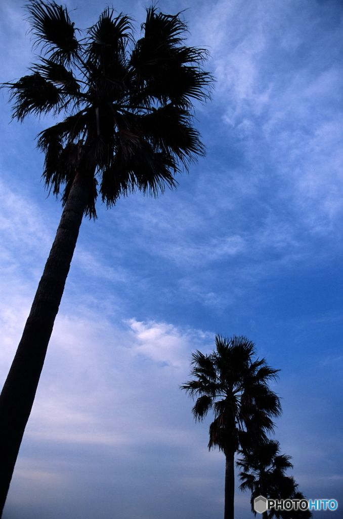 夕涼み